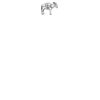 DTF Print Thumbnail