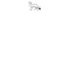 DTF Print Thumbnail