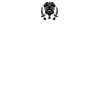 DTF Print Thumbnail