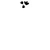 DTF Print Thumbnail